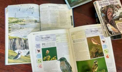 Large lot of UK bird/wildlife guides