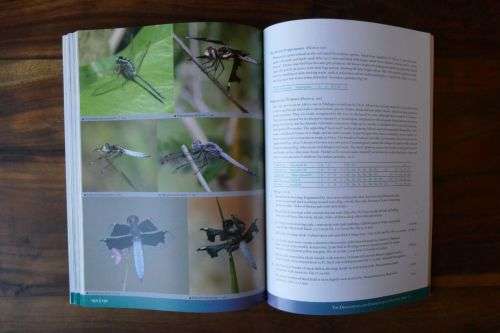 The Dragonflies and Damselflies of Eastern Africa