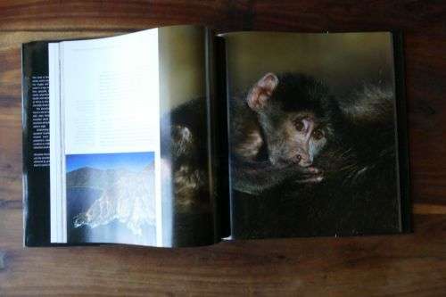 Shoreline - Discovering South Africa's Coast