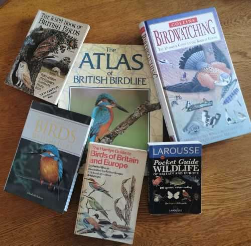 Large lot of UK bird/wildlife guides