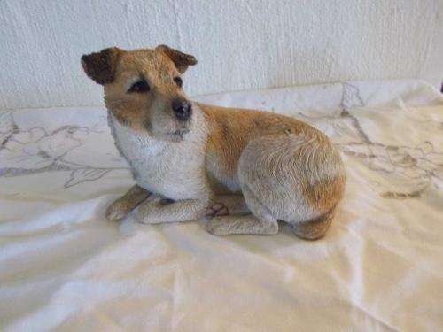 nice model of a jack Russell dog