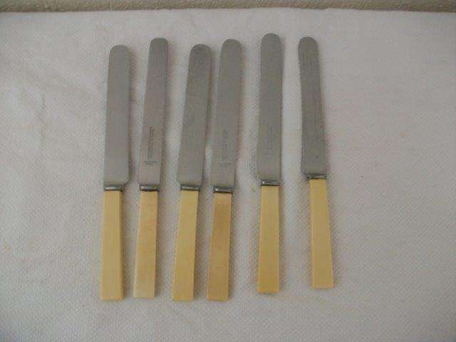 A set of six lovely vintage bone handle knives
