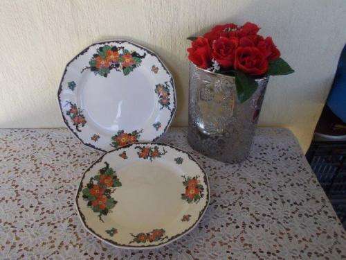 A pair of pretty Royal doulton floarl plates