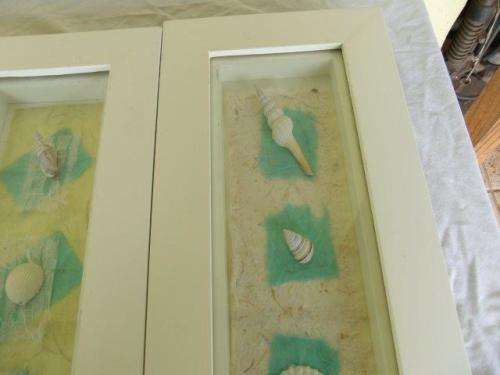 A set of three very nice and decorative framed sea shell wall hangings