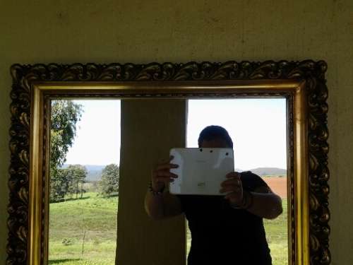 large gold orante framed wall mirror