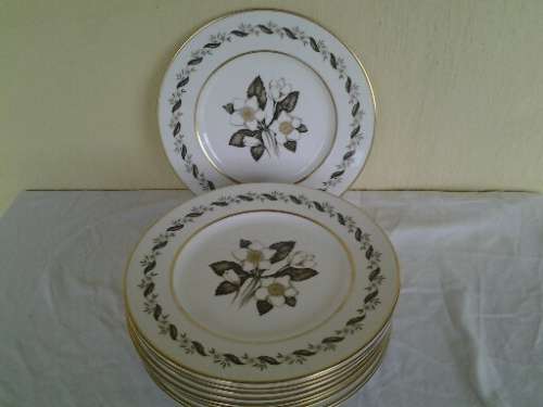 12 stunning vintage royal worcester porcelain dinner plates