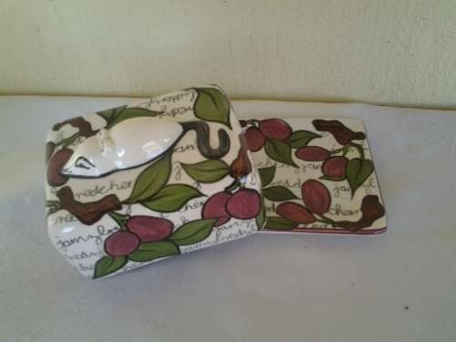 cute more modern porcelain butter dish