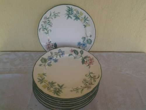 a lot of nine stunning botanical scene dinner plates made for woolworths