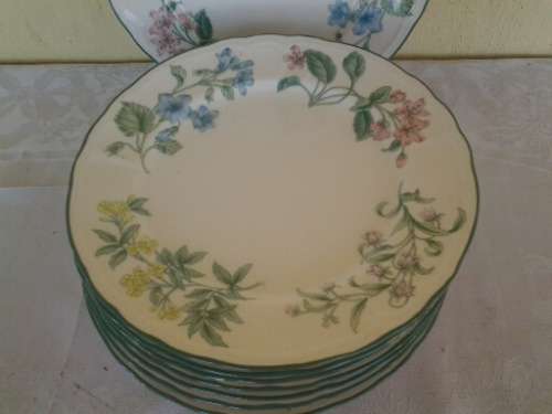 a lot of nine stunning botanical scene dinner plates made for woolworths