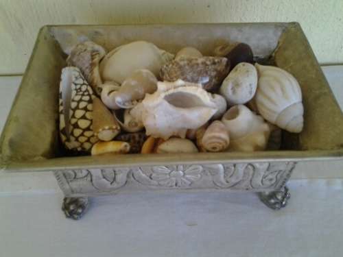 stunning sliver plated little floral pattern dish filled with sea shells