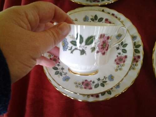 A stunning vintage Porcelain Royal Staffordshire Tea set with a Pheasant and floral scene