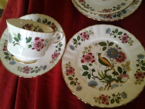 A stunning vintage Porcelain Royal Staffordshire Tea set with a Pheasant and floral scene