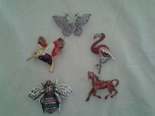 five ladies assorted pretty costume brooches