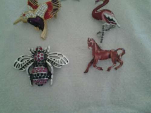 five ladies assorted pretty costume brooches