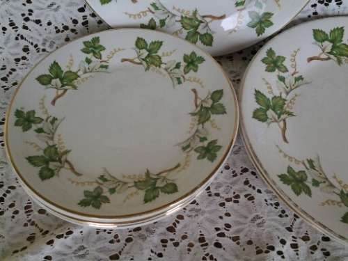 nice lot of vintage Arklow leaf pattern porcelain dinner plates , side plates and bread plates