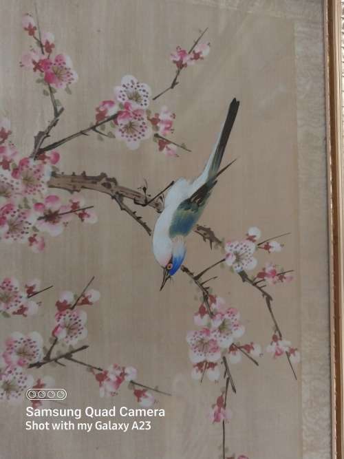 Framed stunning singhed Chinese bird on slik