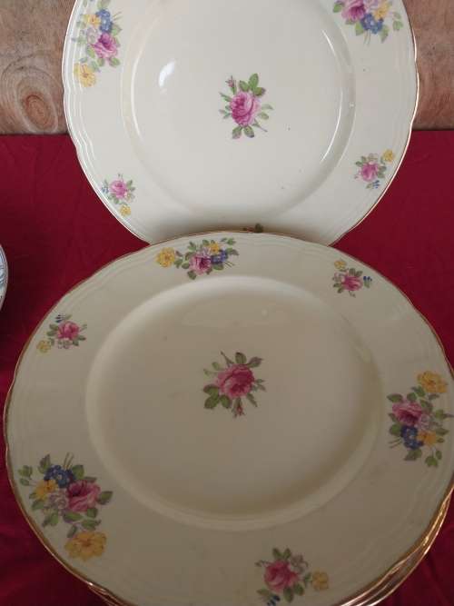 A set of six Alfred meakin floarl porcelain dinner plates
