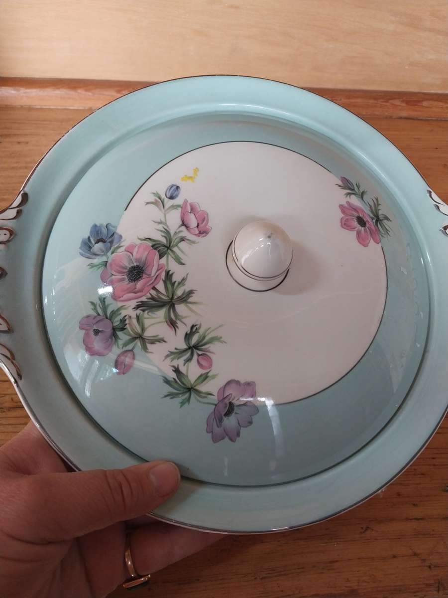 Pastel green blue veggie dish and lid
