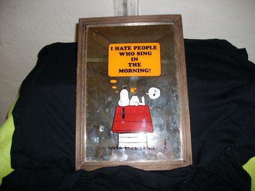 character mirror , snoopy