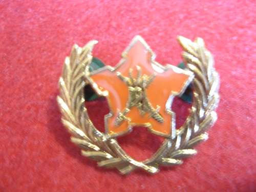 SADF 5 Year Voluntary Service badge