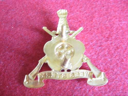Regt Oos Rand Cap badge