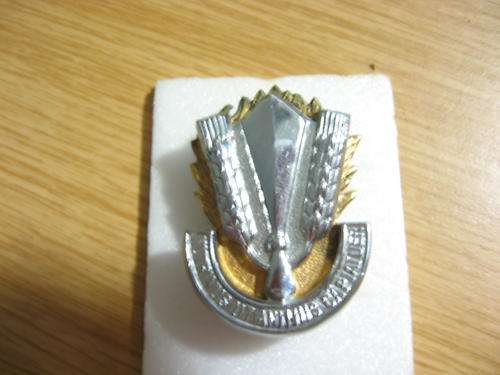 SA Catering Corps Cap badge