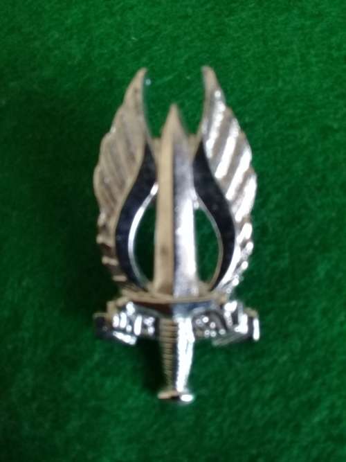 Regiment Northern Transvaal Chrome beret badge