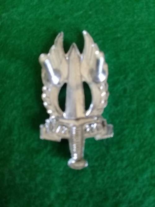 Regiment Northern Transvaal Chrome beret badge