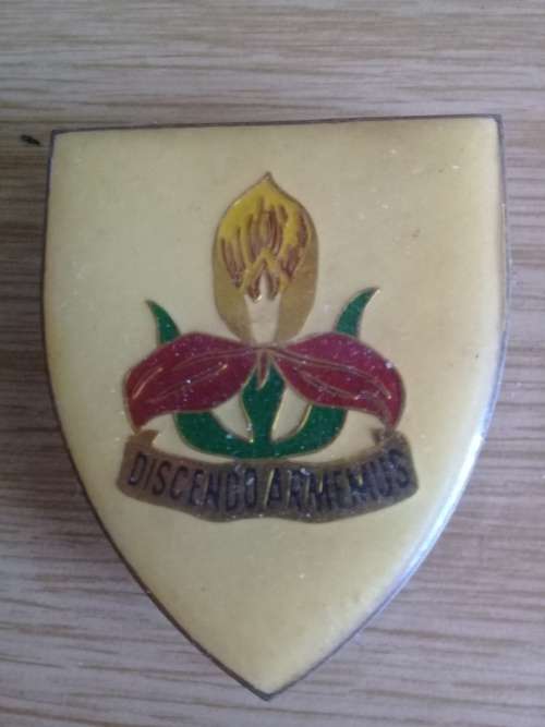 SA Military Acadamy flash, D4469 1st type, all pins