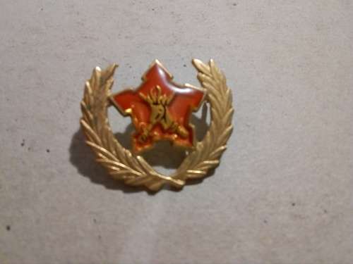 SADF 5 year Voluntary Service breast badge