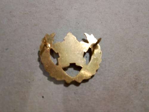 SADF 5 year Voluntary Service breast badge