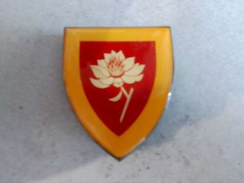 SA Army Women`s College flash, all pins