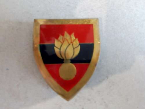 SADF School of Engineers flash, all pins