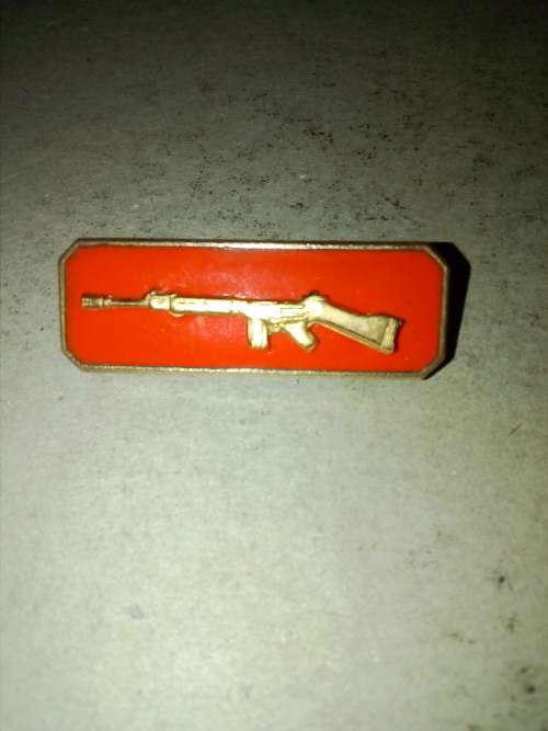 Gold Marksman Skiet  Balkie, Instructor's badge, Dinnes 887