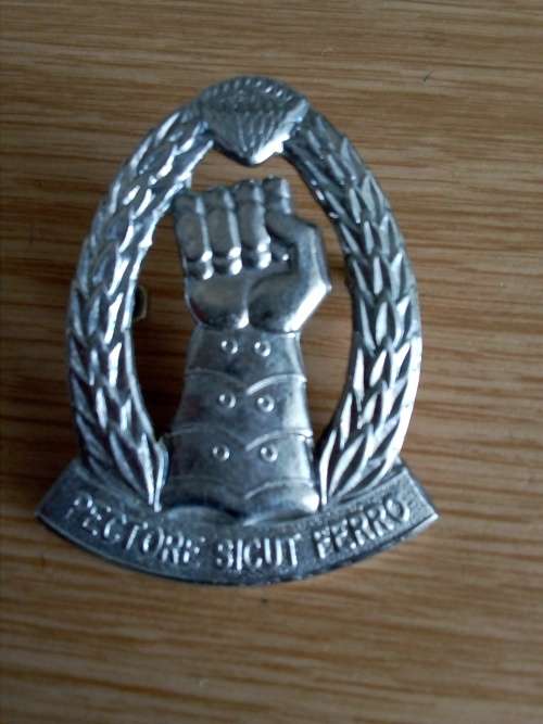 SA Armoured Corps chrome cap badge