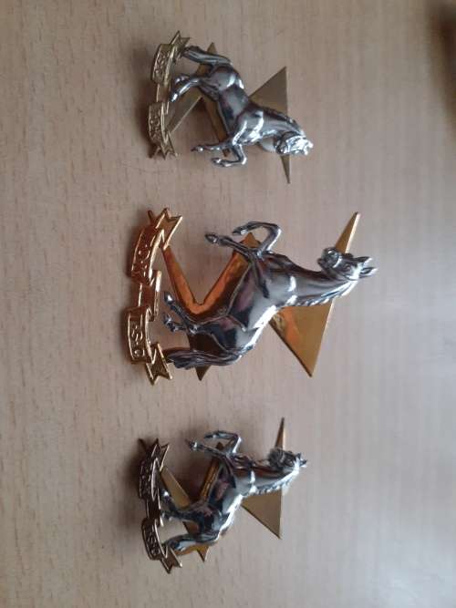 Technical Service Corps BiM cap badge and collars set