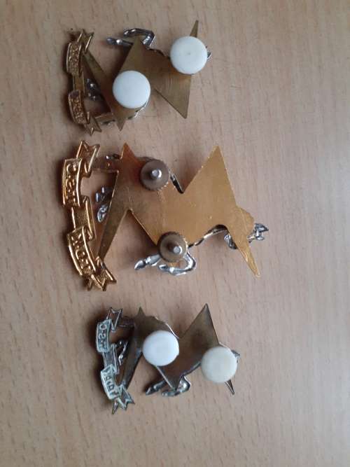 Technical Service Corps BiM cap badge and collars set