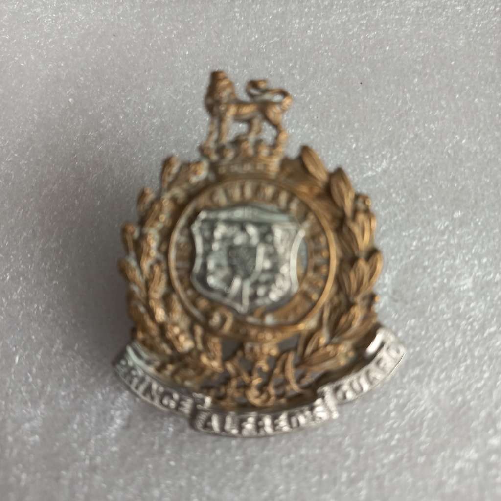 UDF Prince Alfred`s Guard BiM cap badge, Owen 54