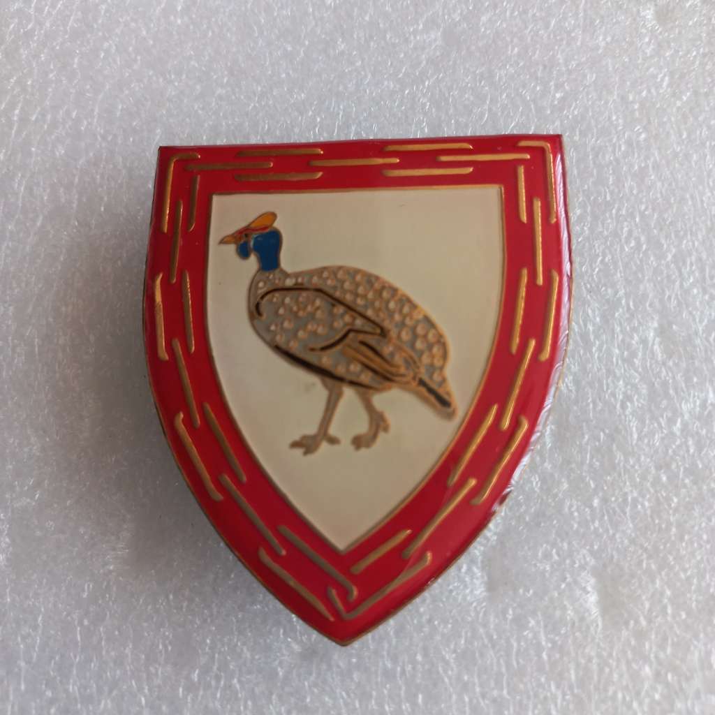 SADF General Support Base Kroonstad flash, all pins