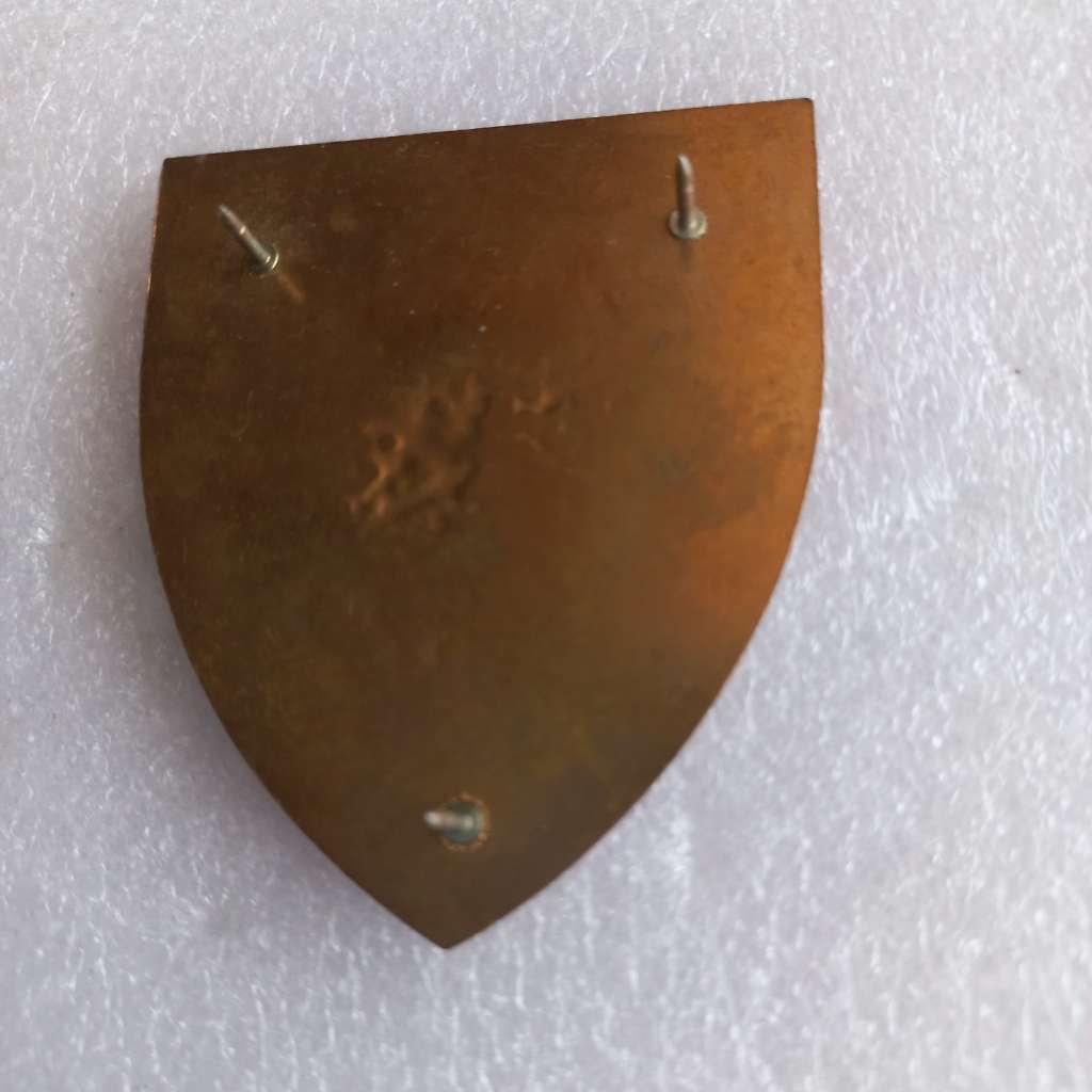 SADF General Support Base Kroonstad flash, all pins