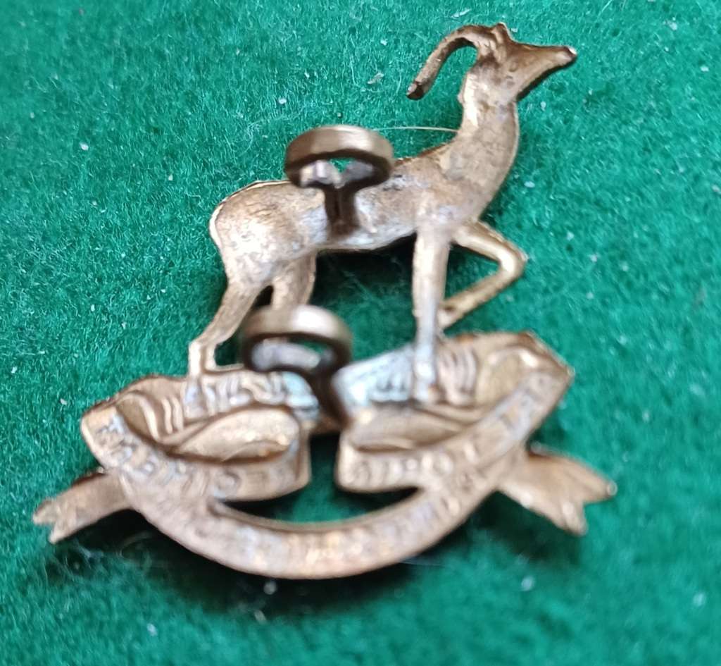 Pretoria Regiment, Princess Alice`s Own, beret badge (WWII) unusual lugs