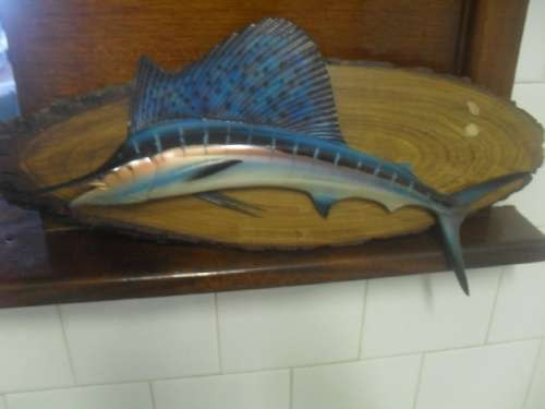 *(JAN 4/2) A VINTAGE MOUNTED FIBREGLASS TROPHY BLUE MARLIN FISH -on wood- 51 x 19cm (incl. top fin)