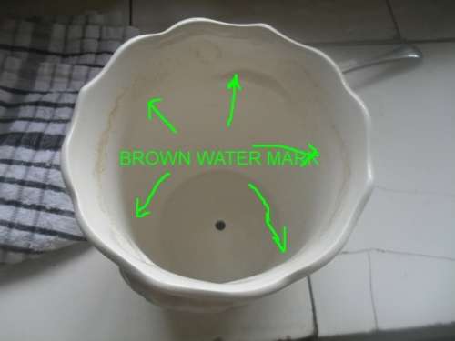 (fyr) a GORGEOUS ROYAL WINTON POTTERY IRONSTONE STAFFORSHIRE ENGLAND POT PLANTER - 11.5cm tall 12cm