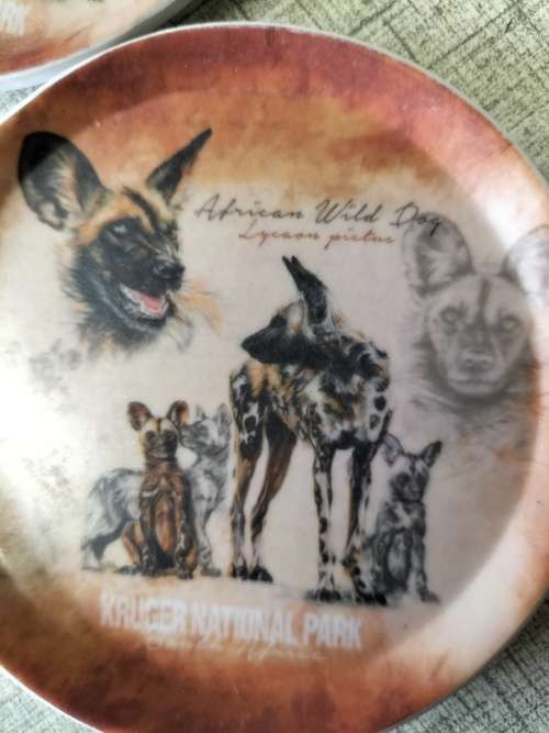 4x KRUGER NATIONAL PARK MELMINE COASTERS
