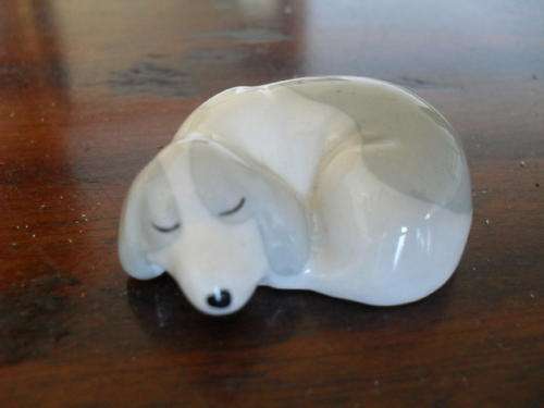 AN ADORABLE  SZEILER -made in England  DOG.