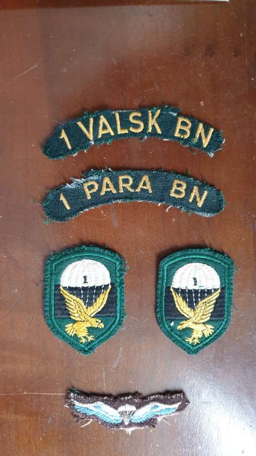 Early parabat cloth flashes and wing