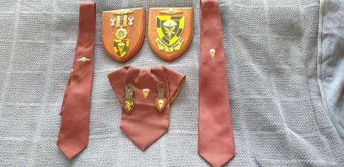 1 para plaques ties and cravat plus 2x 1para fobs