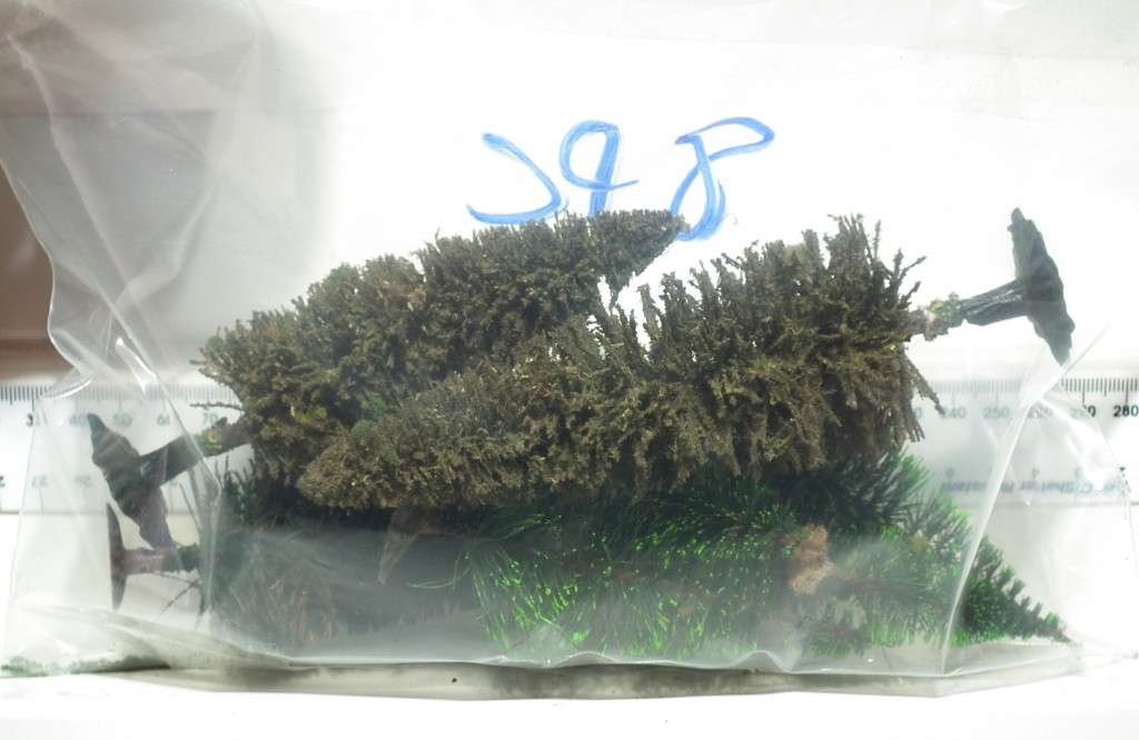 SCENERY OO: 8pc Mixed Trees in Fair Used and  Un-boxed condition