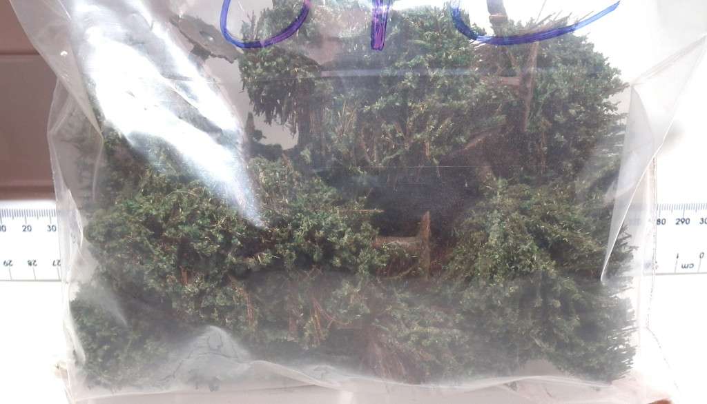 SCENERY OO: 8pc Mixed Trees in Fair Used and  Un-boxed condition