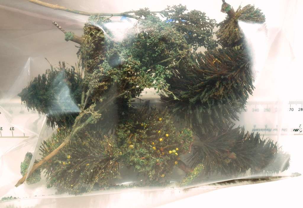 SCENERY OO: 9pc Mixed Trees in Fair Used and  Un-boxed condition